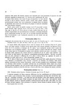 giornale/VEA0025754/1896/unico/00000203