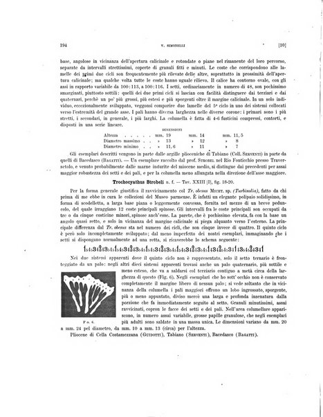 Palaeontographia Italica raccolta di monografie paleontologiche fondata da Mario Canavari nell'anno 1895