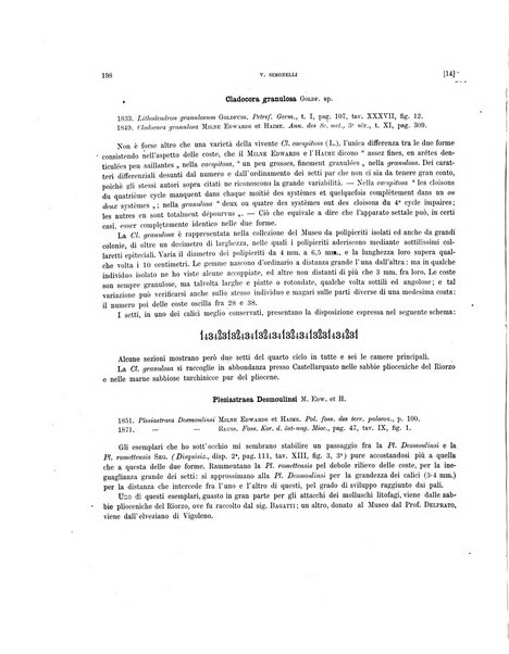 Palaeontographia Italica raccolta di monografie paleontologiche fondata da Mario Canavari nell'anno 1895