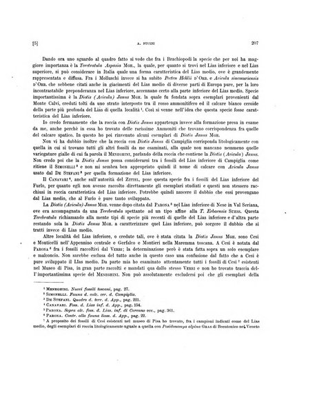 Palaeontographia Italica raccolta di monografie paleontologiche fondata da Mario Canavari nell'anno 1895