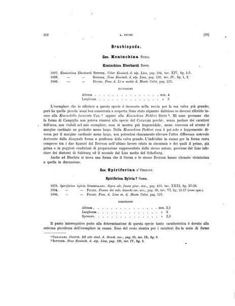 Palaeontographia Italica raccolta di monografie paleontologiche fondata da Mario Canavari nell'anno 1895