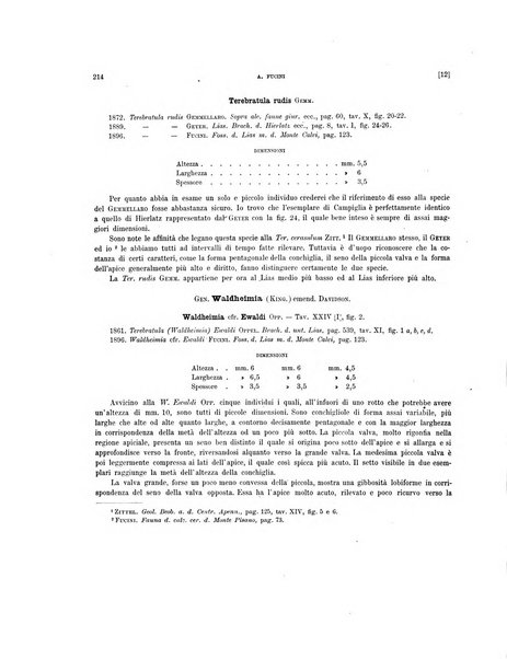 Palaeontographia Italica raccolta di monografie paleontologiche fondata da Mario Canavari nell'anno 1895