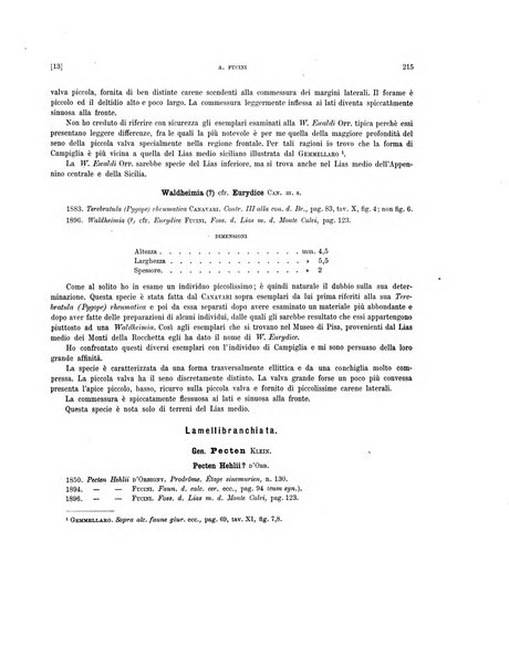 Palaeontographia Italica raccolta di monografie paleontologiche fondata da Mario Canavari nell'anno 1895