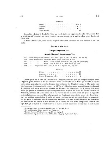 Palaeontographia Italica raccolta di monografie paleontologiche fondata da Mario Canavari nell'anno 1895