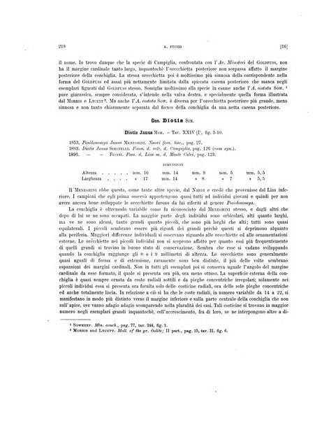 Palaeontographia Italica raccolta di monografie paleontologiche fondata da Mario Canavari nell'anno 1895