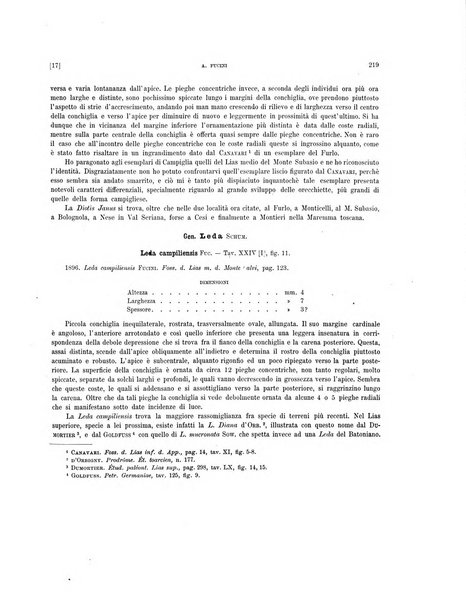 Palaeontographia Italica raccolta di monografie paleontologiche fondata da Mario Canavari nell'anno 1895