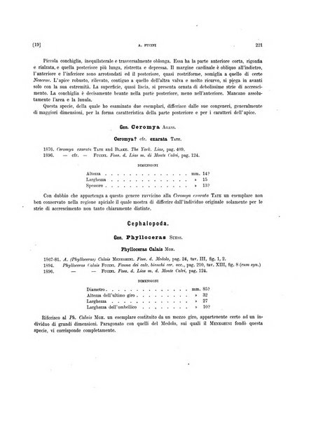 Palaeontographia Italica raccolta di monografie paleontologiche fondata da Mario Canavari nell'anno 1895