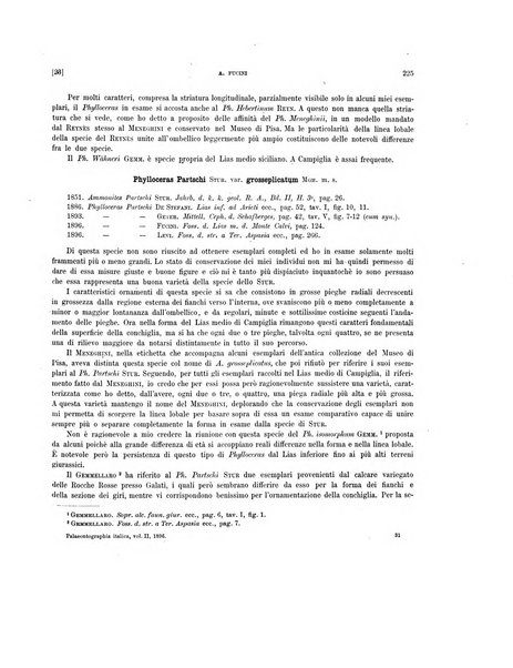 Palaeontographia Italica raccolta di monografie paleontologiche fondata da Mario Canavari nell'anno 1895