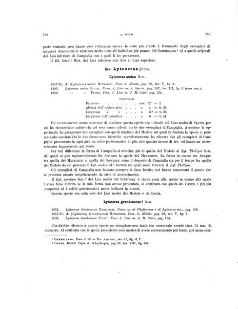 Palaeontographia Italica raccolta di monografie paleontologiche fondata da Mario Canavari nell'anno 1895