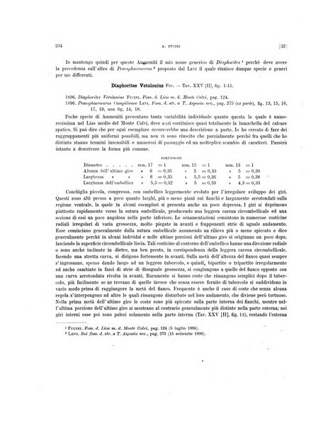 Palaeontographia Italica raccolta di monografie paleontologiche fondata da Mario Canavari nell'anno 1895