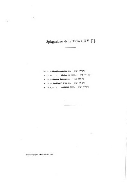 Palaeontographia Italica raccolta di monografie paleontologiche fondata da Mario Canavari nell'anno 1895