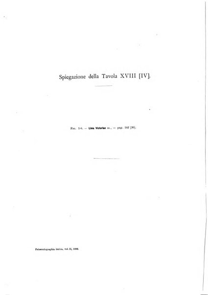 Palaeontographia Italica raccolta di monografie paleontologiche fondata da Mario Canavari nell'anno 1895