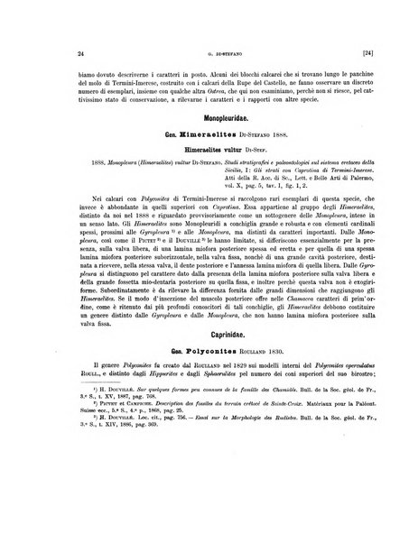 Palaeontographia Italica raccolta di monografie paleontologiche fondata da Mario Canavari nell'anno 1895