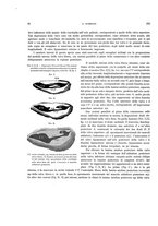 giornale/VEA0025754/1898/unico/00000042