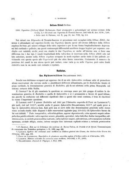 Palaeontographia Italica raccolta di monografie paleontologiche fondata da Mario Canavari nell'anno 1895