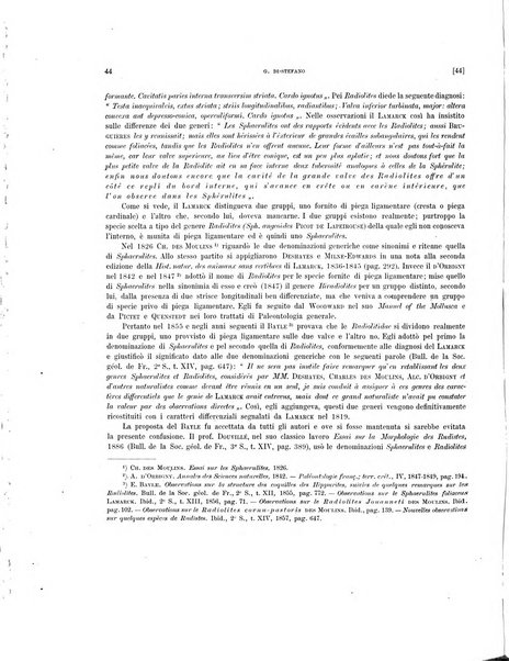 Palaeontographia Italica raccolta di monografie paleontologiche fondata da Mario Canavari nell'anno 1895