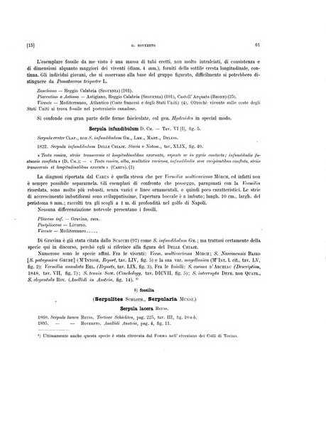 Palaeontographia Italica raccolta di monografie paleontologiche fondata da Mario Canavari nell'anno 1895