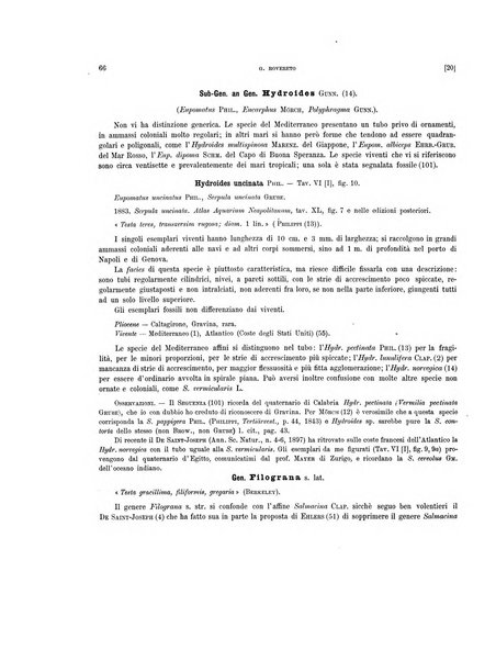 Palaeontographia Italica raccolta di monografie paleontologiche fondata da Mario Canavari nell'anno 1895