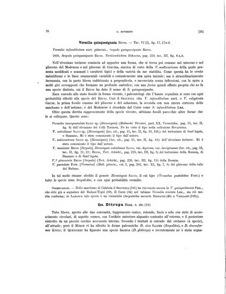 Palaeontographia Italica raccolta di monografie paleontologiche fondata da Mario Canavari nell'anno 1895