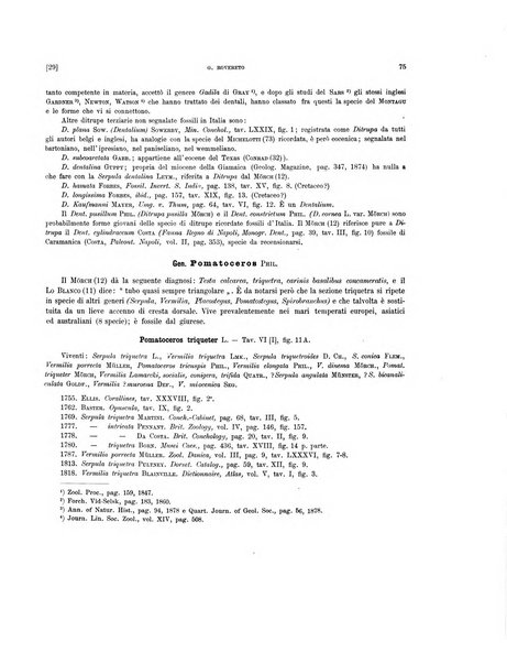 Palaeontographia Italica raccolta di monografie paleontologiche fondata da Mario Canavari nell'anno 1895