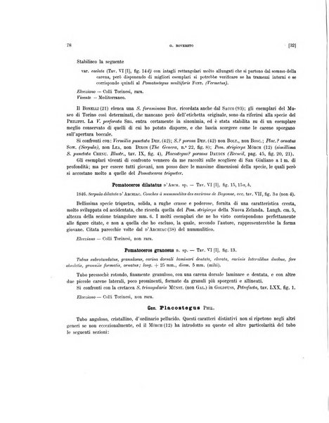 Palaeontographia Italica raccolta di monografie paleontologiche fondata da Mario Canavari nell'anno 1895