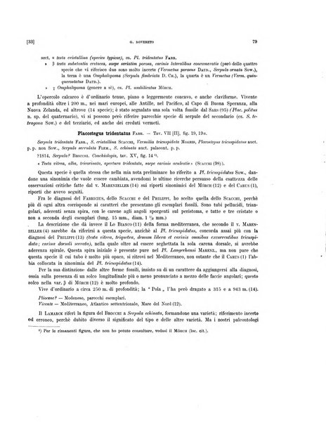 Palaeontographia Italica raccolta di monografie paleontologiche fondata da Mario Canavari nell'anno 1895