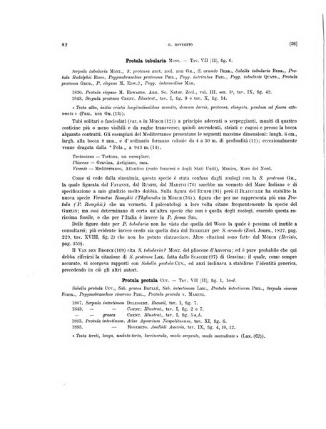 Palaeontographia Italica raccolta di monografie paleontologiche fondata da Mario Canavari nell'anno 1895