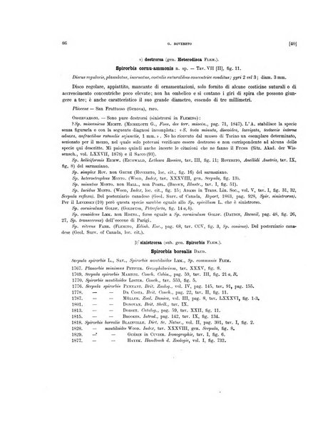 Palaeontographia Italica raccolta di monografie paleontologiche fondata da Mario Canavari nell'anno 1895