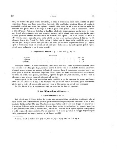 Palaeontographia Italica raccolta di monografie paleontologiche fondata da Mario Canavari nell'anno 1895