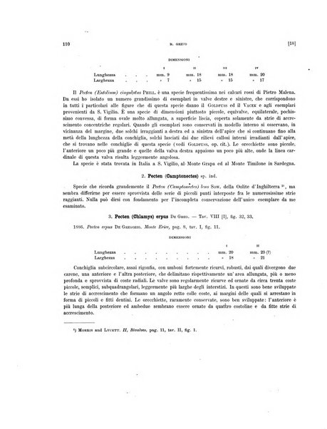 Palaeontographia Italica raccolta di monografie paleontologiche fondata da Mario Canavari nell'anno 1895