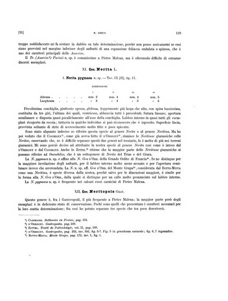 Palaeontographia Italica raccolta di monografie paleontologiche fondata da Mario Canavari nell'anno 1895