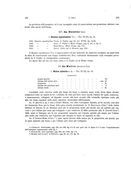 Palaeontographia Italica raccolta di monografie paleontologiche fondata da Mario Canavari nell'anno 1895