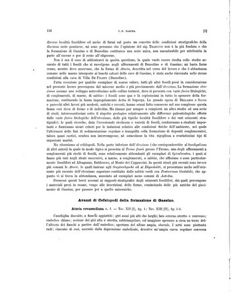 Palaeontographia Italica raccolta di monografie paleontologiche fondata da Mario Canavari nell'anno 1895