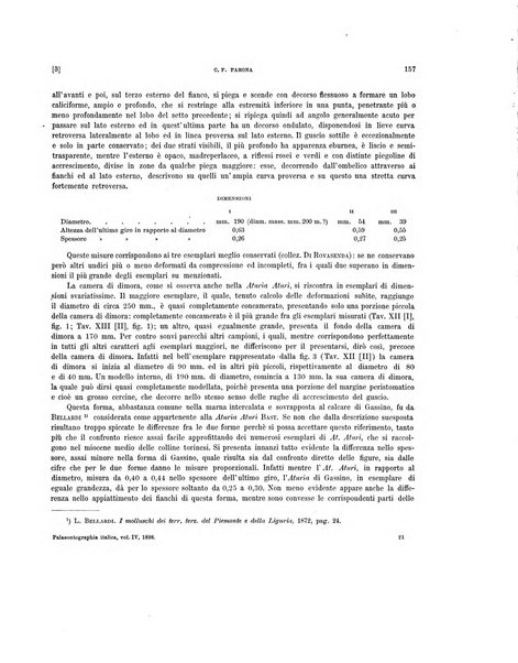 Palaeontographia Italica raccolta di monografie paleontologiche fondata da Mario Canavari nell'anno 1895