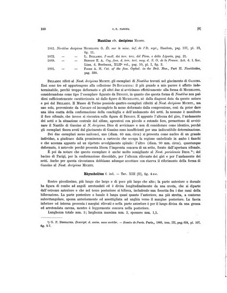 Palaeontographia Italica raccolta di monografie paleontologiche fondata da Mario Canavari nell'anno 1895