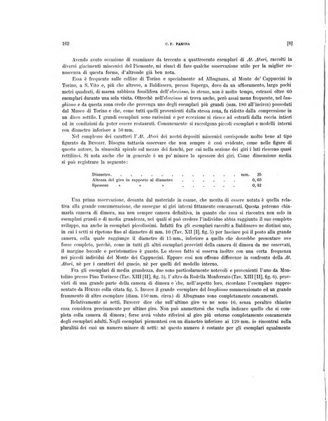 Palaeontographia Italica raccolta di monografie paleontologiche fondata da Mario Canavari nell'anno 1895