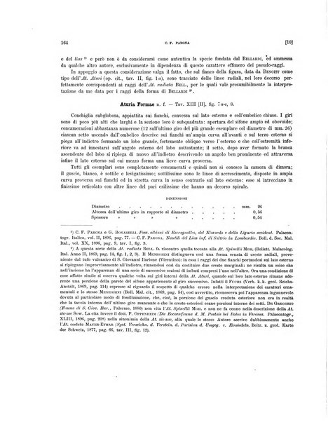 Palaeontographia Italica raccolta di monografie paleontologiche fondata da Mario Canavari nell'anno 1895