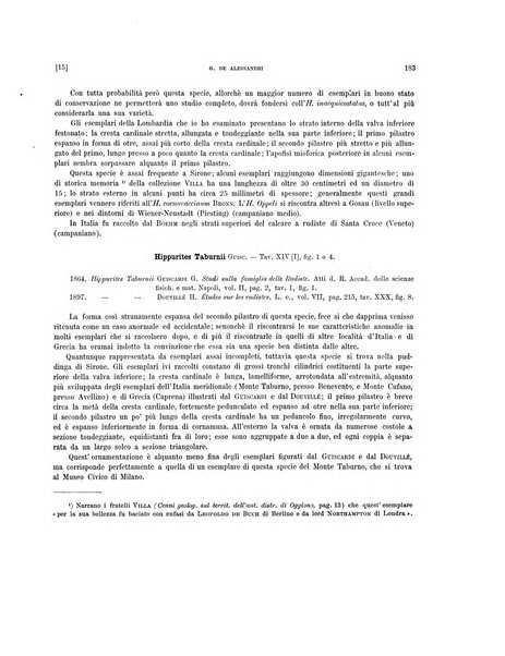 Palaeontographia Italica raccolta di monografie paleontologiche fondata da Mario Canavari nell'anno 1895