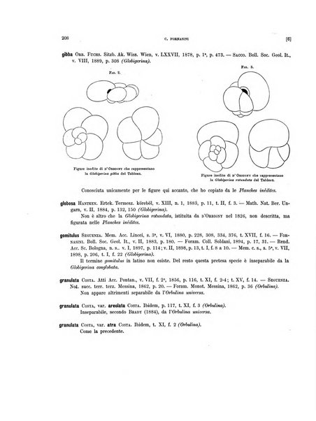 Palaeontographia Italica raccolta di monografie paleontologiche fondata da Mario Canavari nell'anno 1895