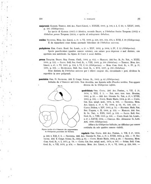 Palaeontographia Italica raccolta di monografie paleontologiche fondata da Mario Canavari nell'anno 1895