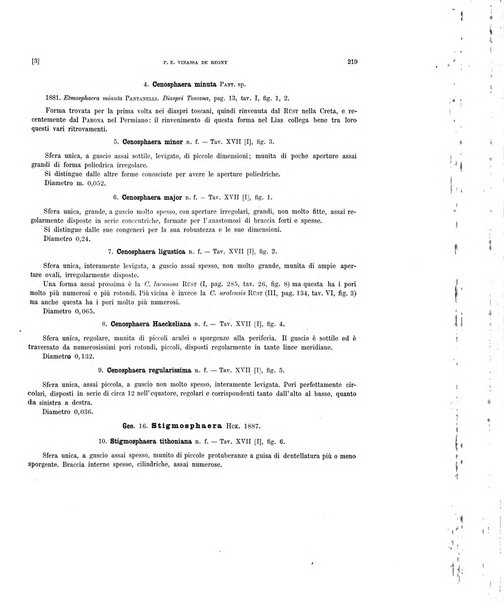 Palaeontographia Italica raccolta di monografie paleontologiche fondata da Mario Canavari nell'anno 1895