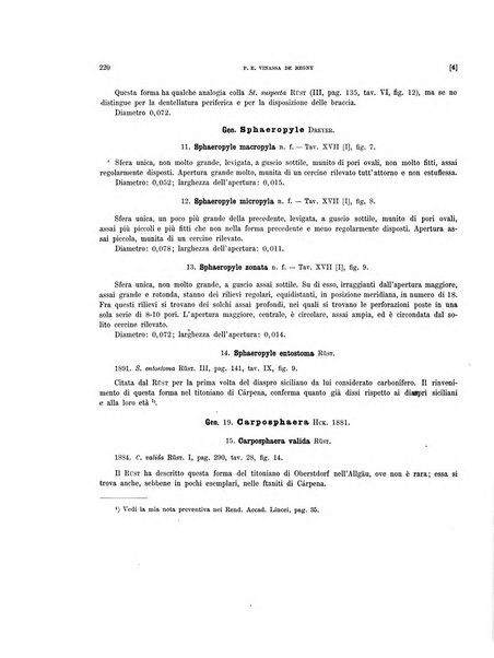 Palaeontographia Italica raccolta di monografie paleontologiche fondata da Mario Canavari nell'anno 1895