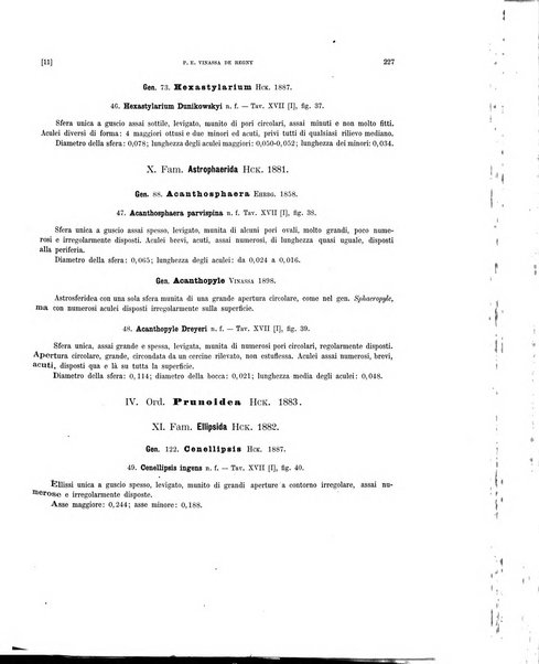 Palaeontographia Italica raccolta di monografie paleontologiche fondata da Mario Canavari nell'anno 1895