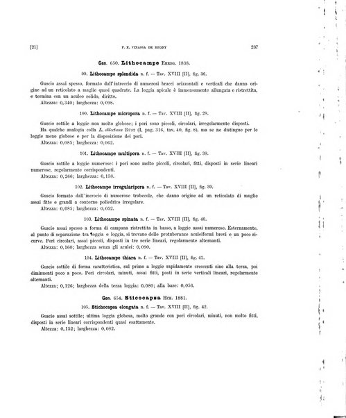 Palaeontographia Italica raccolta di monografie paleontologiche fondata da Mario Canavari nell'anno 1895