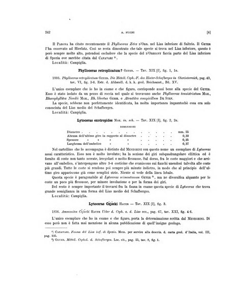 Palaeontographia Italica raccolta di monografie paleontologiche fondata da Mario Canavari nell'anno 1895