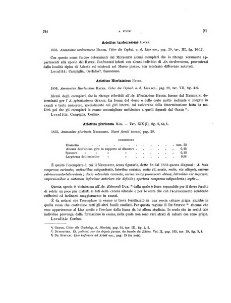 Palaeontographia Italica raccolta di monografie paleontologiche fondata da Mario Canavari nell'anno 1895