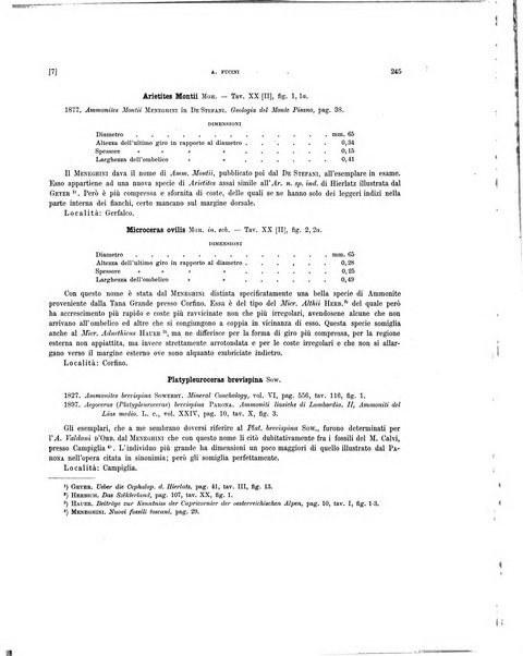 Palaeontographia Italica raccolta di monografie paleontologiche fondata da Mario Canavari nell'anno 1895