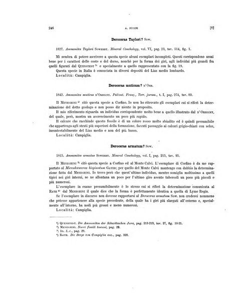 Palaeontographia Italica raccolta di monografie paleontologiche fondata da Mario Canavari nell'anno 1895