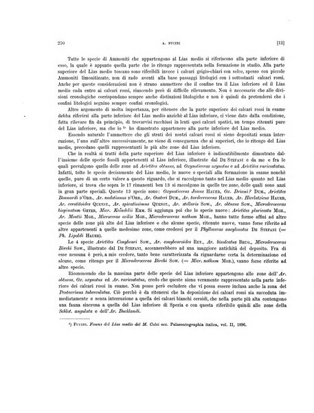 Palaeontographia Italica raccolta di monografie paleontologiche fondata da Mario Canavari nell'anno 1895