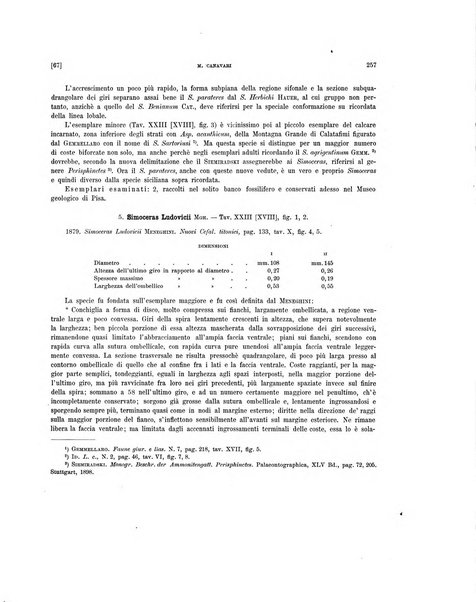 Palaeontographia Italica raccolta di monografie paleontologiche fondata da Mario Canavari nell'anno 1895